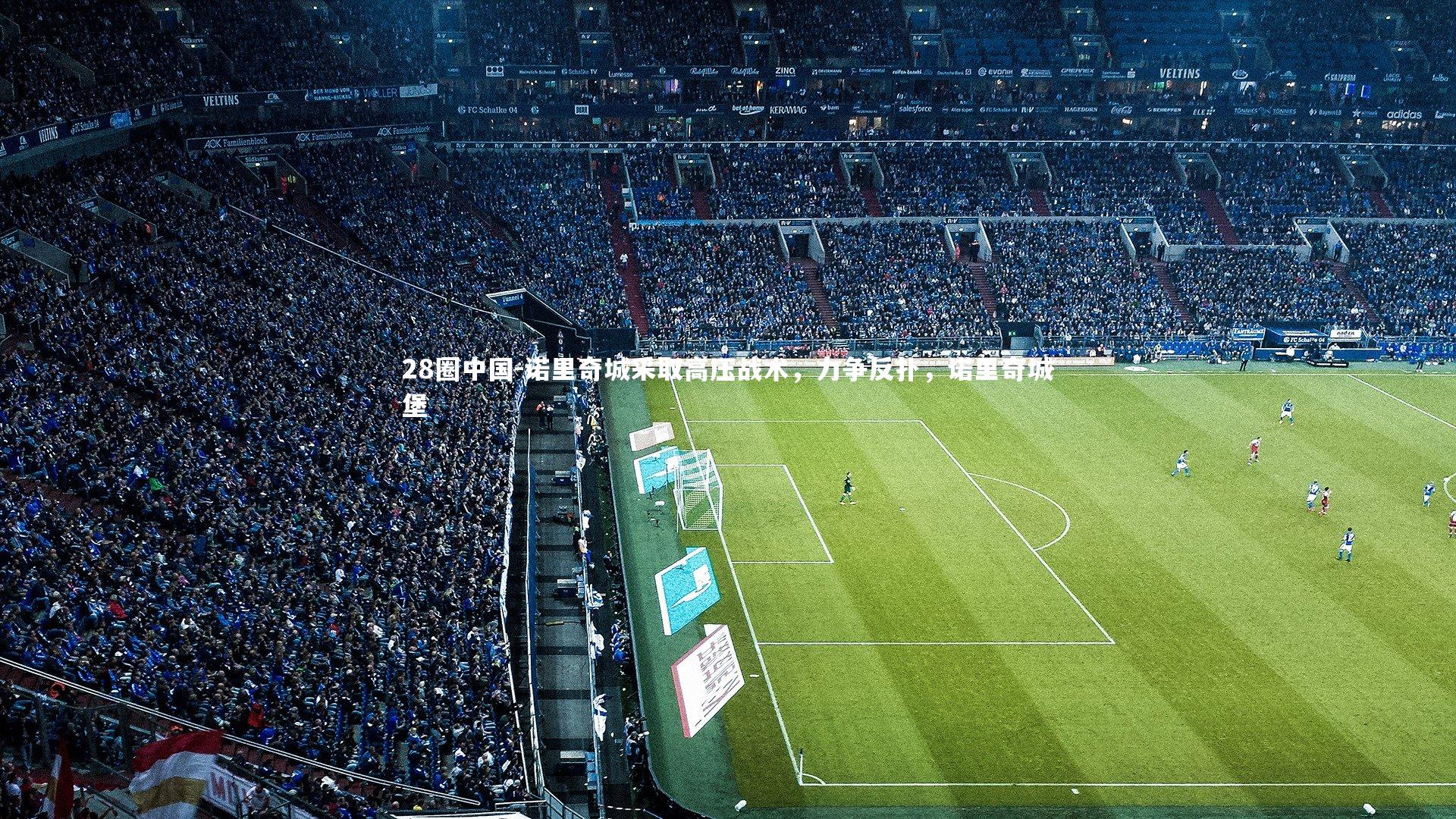 28圈中国-诺里奇城采取高压战术，力争反扑，诺里奇城堡