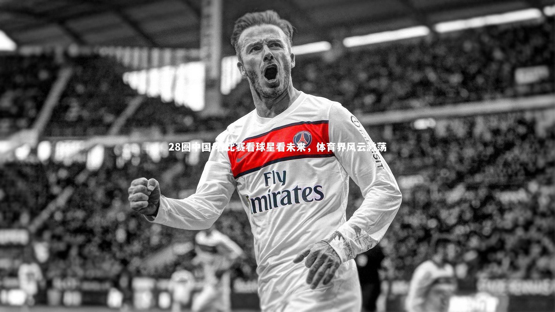 看比赛看球星看未来，体育界风云激荡