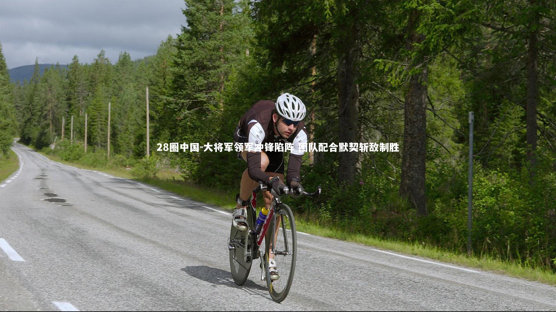 大将军领军冲锋陷阵 团队配合默契斩敌制胜